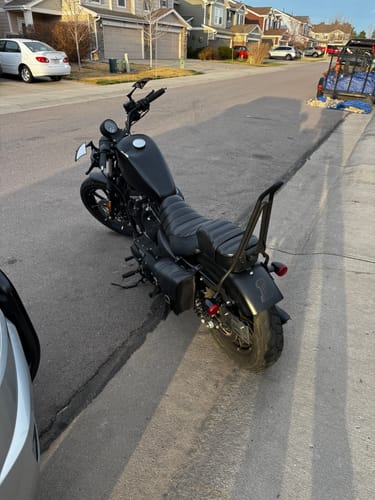 Customer photo review of Iron Born Blade 25" Sissy Bar with Foldable Luggage Rack for Harley Sportster 883 Iron XL883N Matte Black