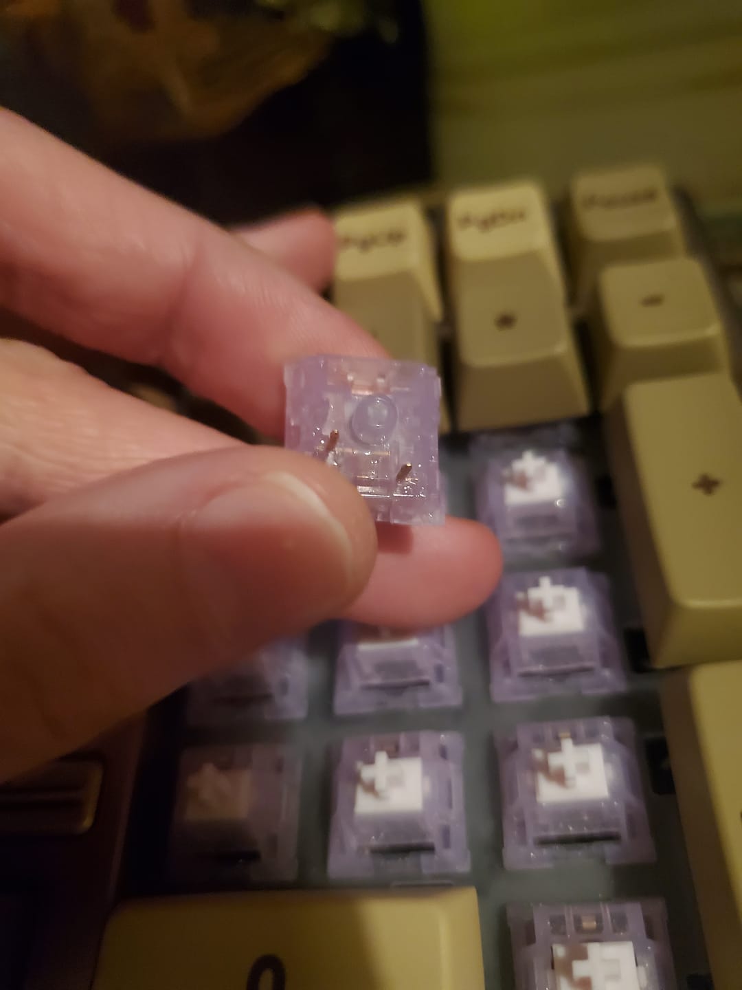 Customer photo review of KEYGEEK SU COLOR V2 LINEAR SWITCH FACTORY LUBED EDITION (10PCS)