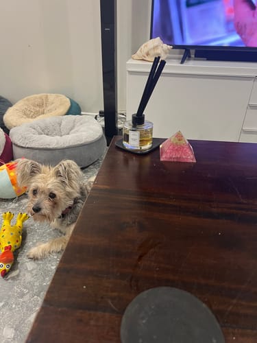 Customer photo review of Lemongrass & Lime