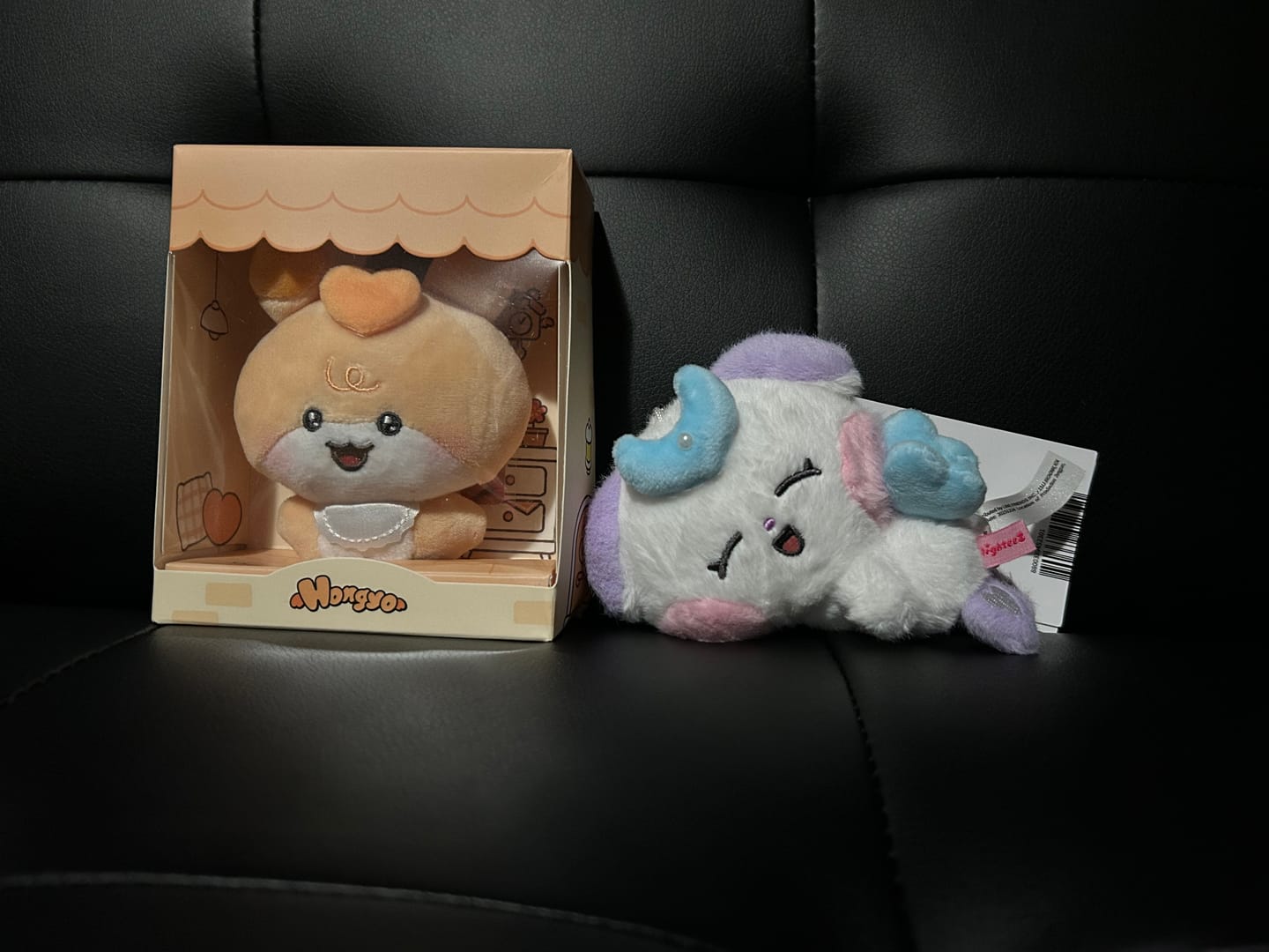 Customer photo review of ATEEZ - MIGHTEEZ WONDER FAIRY BABY PLUSH