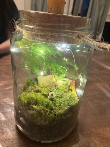 Rezensent zeigt den fertigen Flaschengarten im Glas, gefüllt mit Moos, einer Pflanze, einer Panda-Figur und einer Lichterkette.