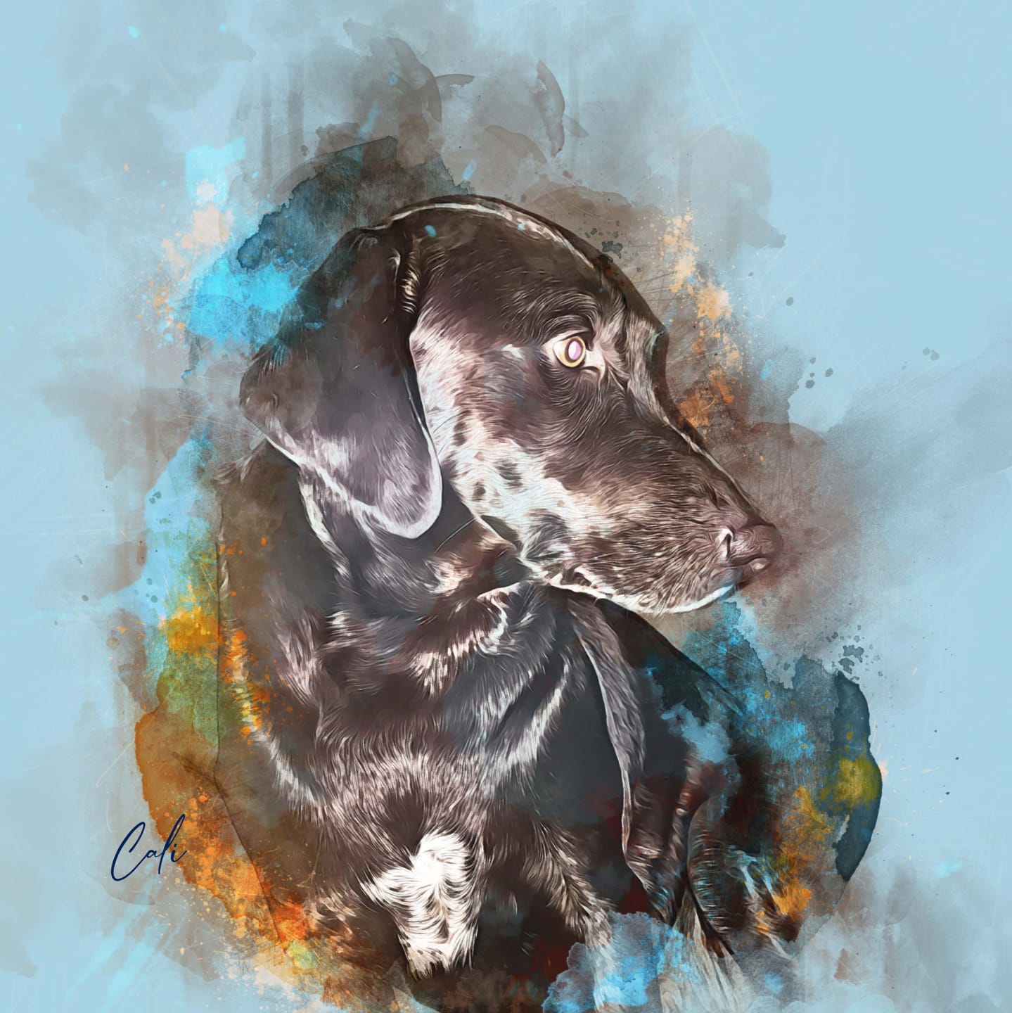 Customer photo review of Custom Watercolor Pet Portrait - Top Pick