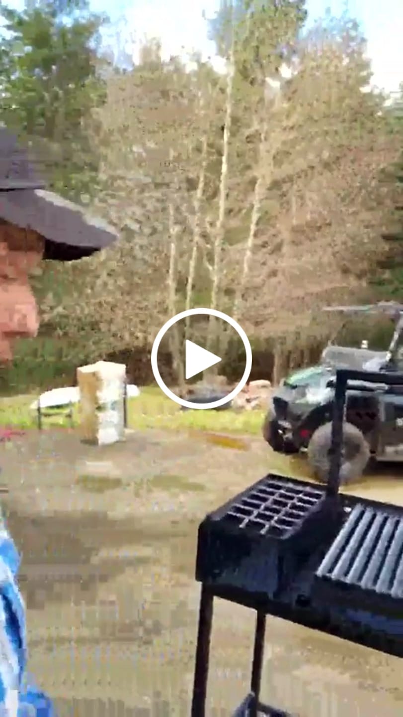 Customer video review of Premium Santa Maria Grill with V-Shaped Grates and Cart
