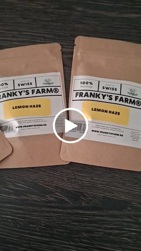 Customer video review of Lemon Haze - CBD Blüte