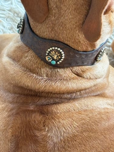 Customer photo review of Clementine Conchos