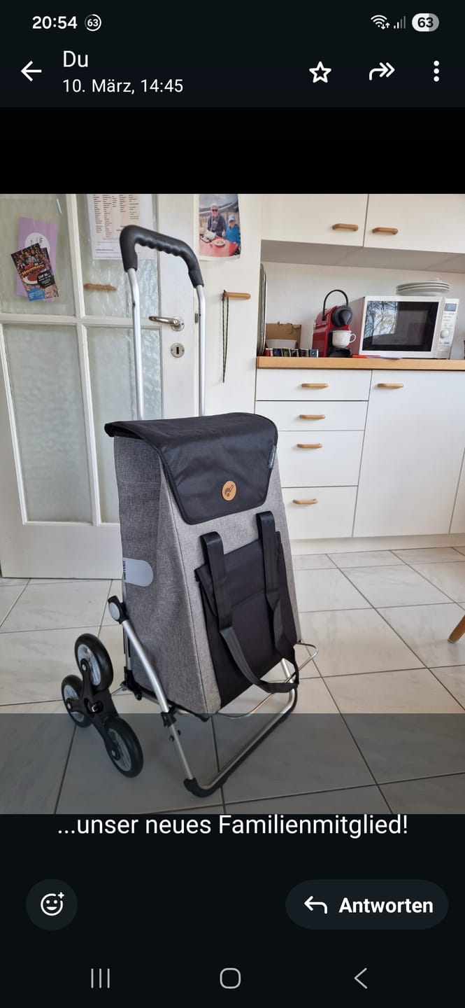 Customer photo review of Treppensteiger Royal Shopper Senta 2.0 - grau