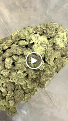 Customer video review of Purple Kush - Bulk - Indica
