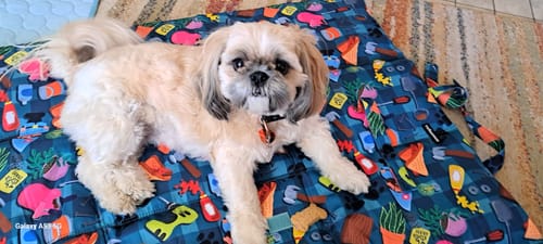 Customer photo review of "BUNNINGS TRIP" MAT