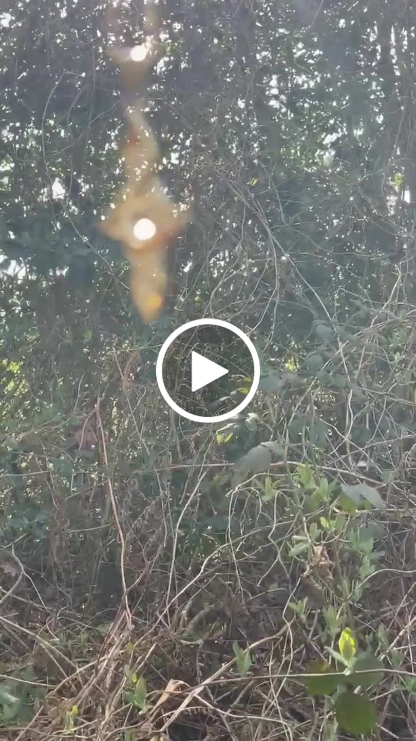 Customer video review of Gold Tektite Etheria Pendant