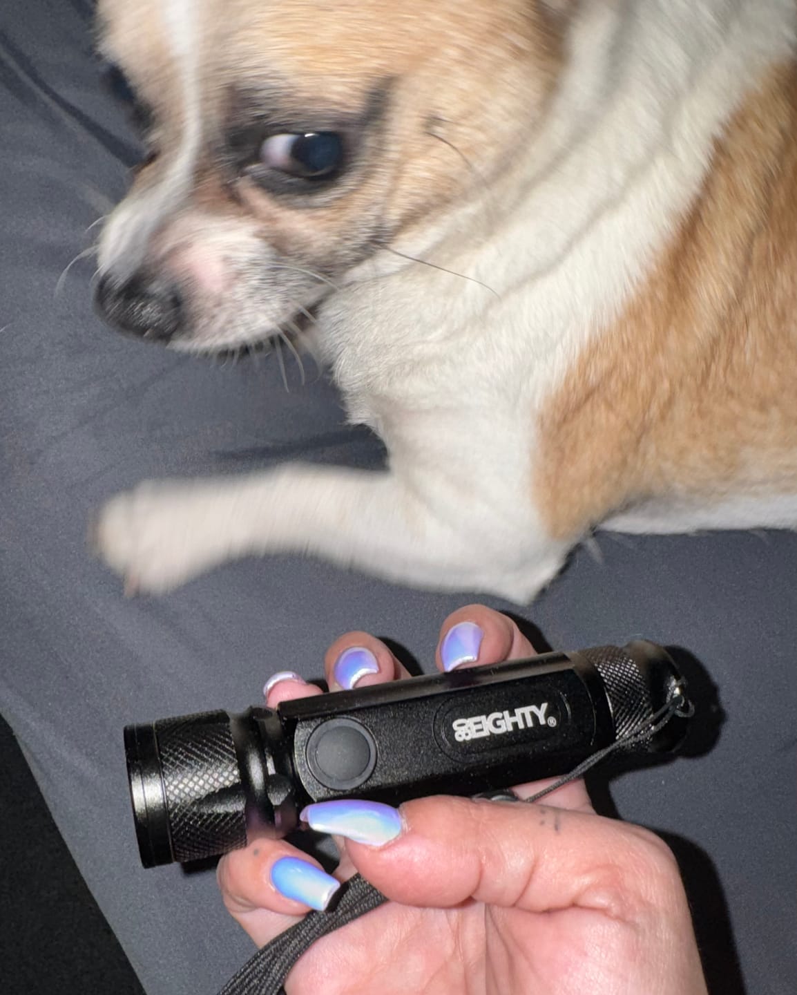 Customer photo review of 80Eighty® Flashlight