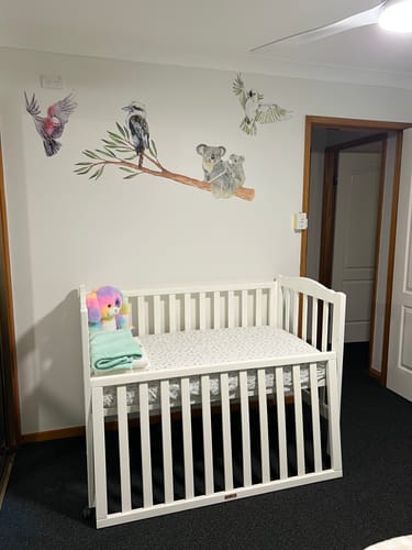 Customer photo review of Pick 7 Australian Animal Wall Stickers
