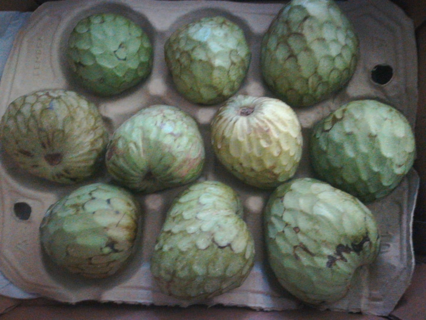 Customer photo review of Cherimoya Bio Hochernte-Retterbox Sonderaktion % 4kg