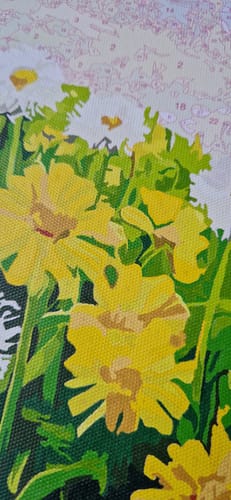 Customer photo review of Spring Natural Scenery 4