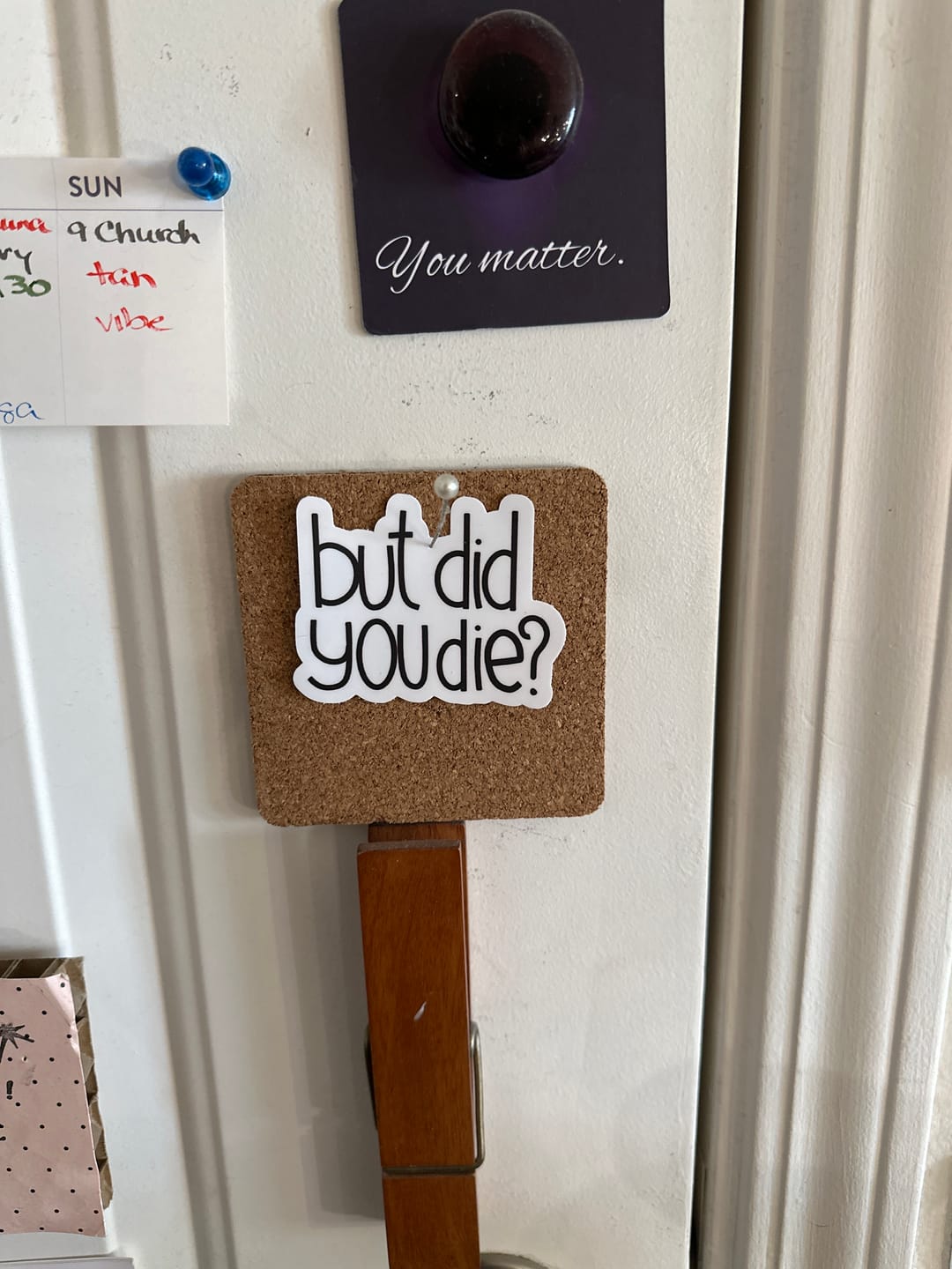 Customer photo review of But Did You Die? Sarcasm Sticker