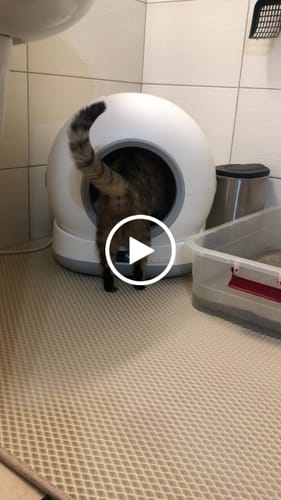 Customer video review of Otomatik Kedi Tuvaleti | 72L, 7L Atık Hazneli, UV, Wifi, Mobil Kontrol, Akıllı Kedi Tuvaleti (X8624)