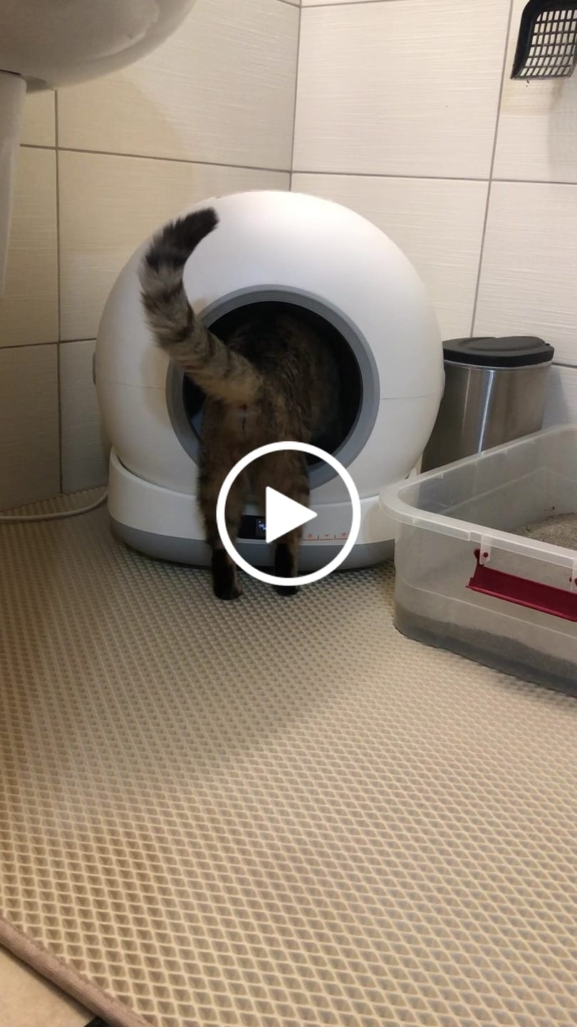 Customer video review of Otomatik Kedi Tuvaleti | 72L, 7L Atık Hazneli, UV, Wifi, Mobil Kontrol, Akıllı Kedi Tuvaleti (X8624)