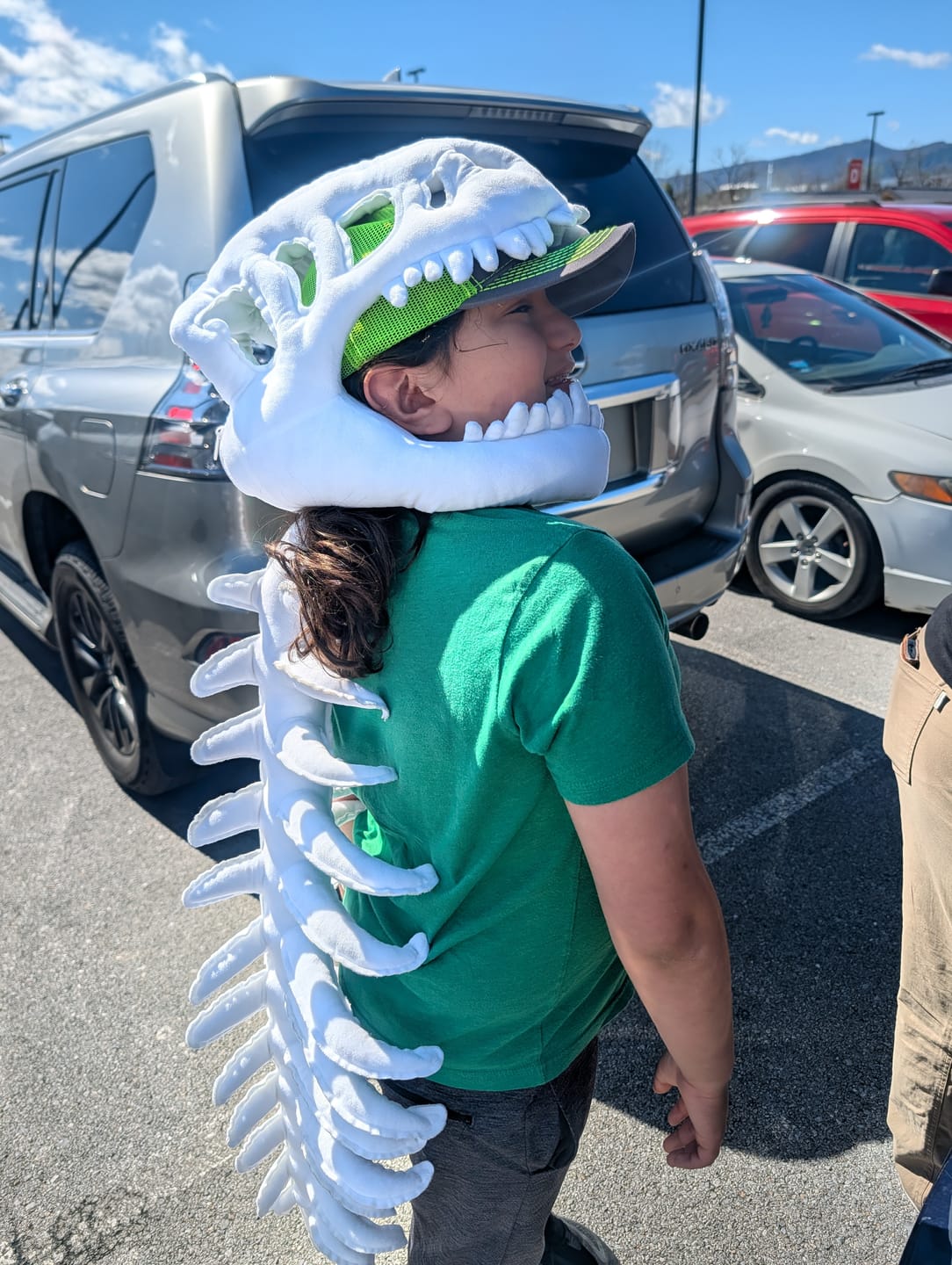 Customer photo review of The Godzilla Snug™