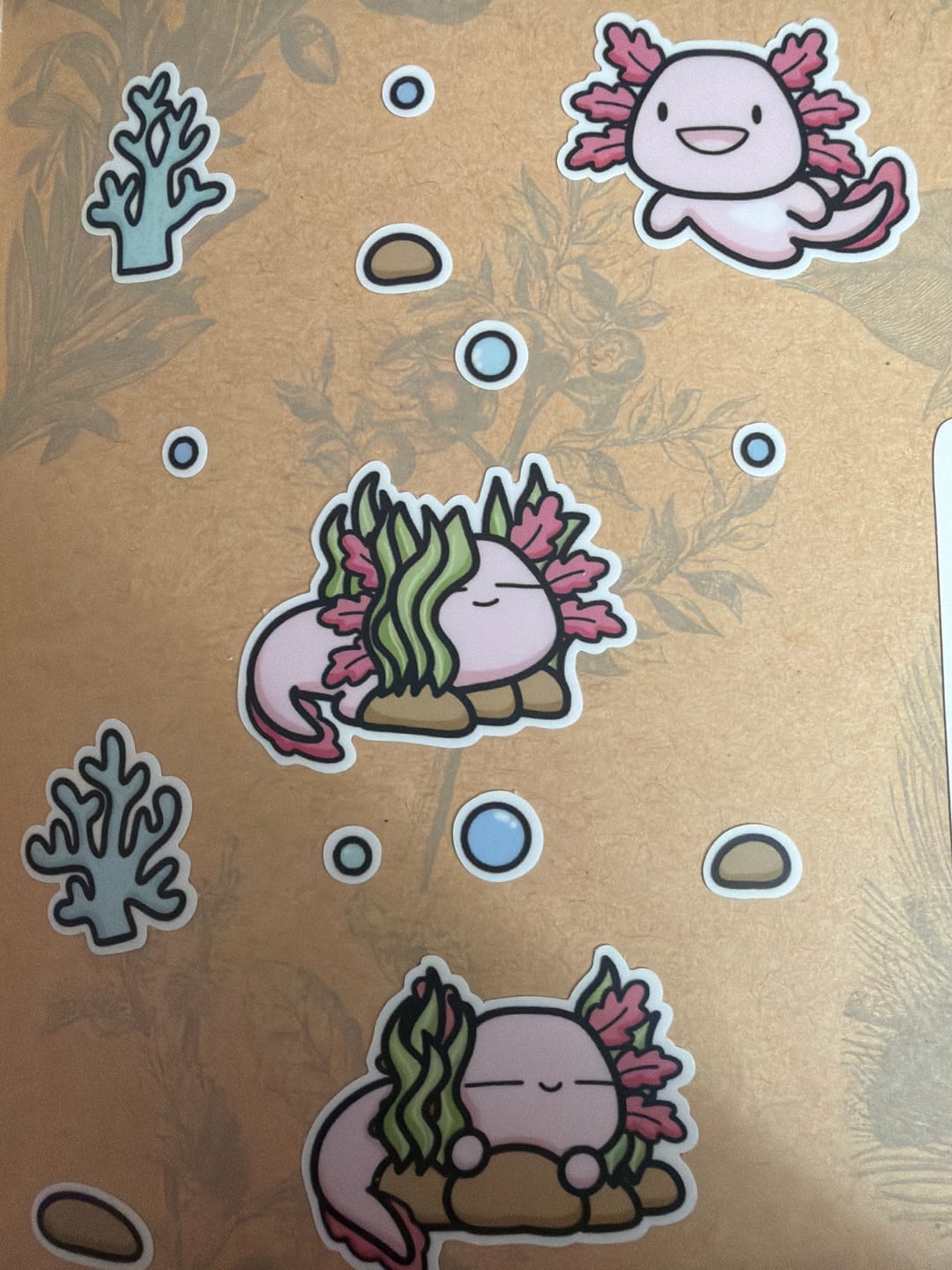Customer photo review of Happy Axolotl Sticker Sheet