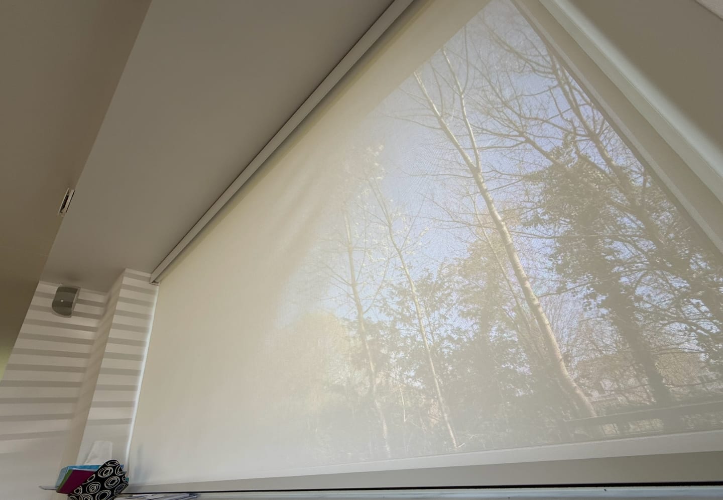 Customer photo review of SmartWings Motorized Light Filtering Solar Shades 1%/3%/5% Openness Aventus