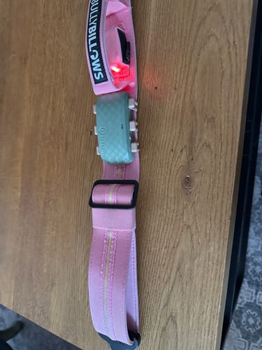 Customer photo review of 5cm Light Up LED Combat® Collar | Handle - Pink