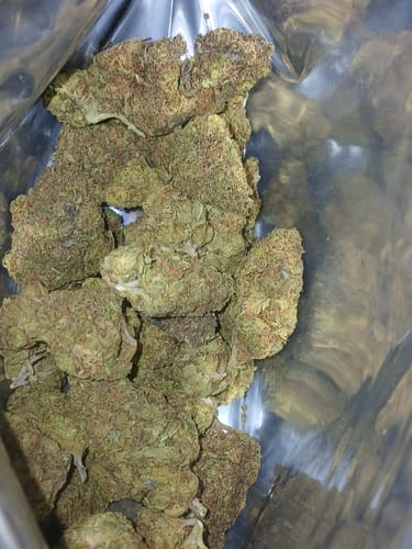 Customer photo review of Cheap THCA Flower Ounce