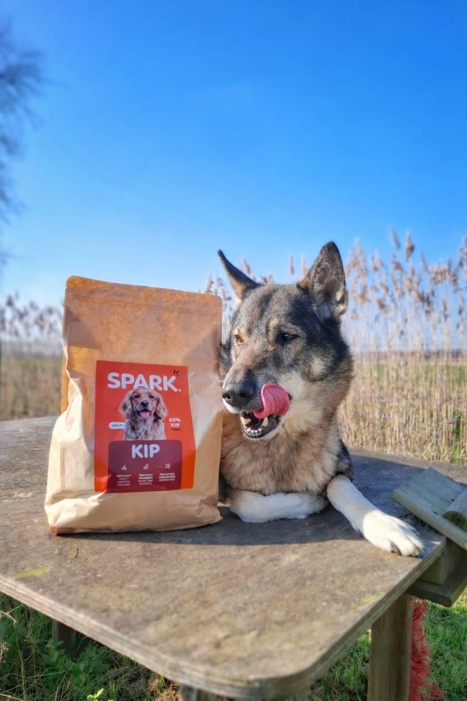 Customer photo review of V2.0 - Volwassen - Kip met Zoete Aardappel