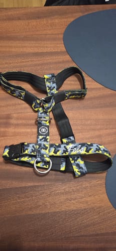 Customer photo review of Training Anti Pull TRI-Harness® | M-XL Breeds - Lightning