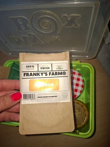 Customer photo review of 🎁 FREE GIFT | Og Sour - CBD Blüte (100% off)