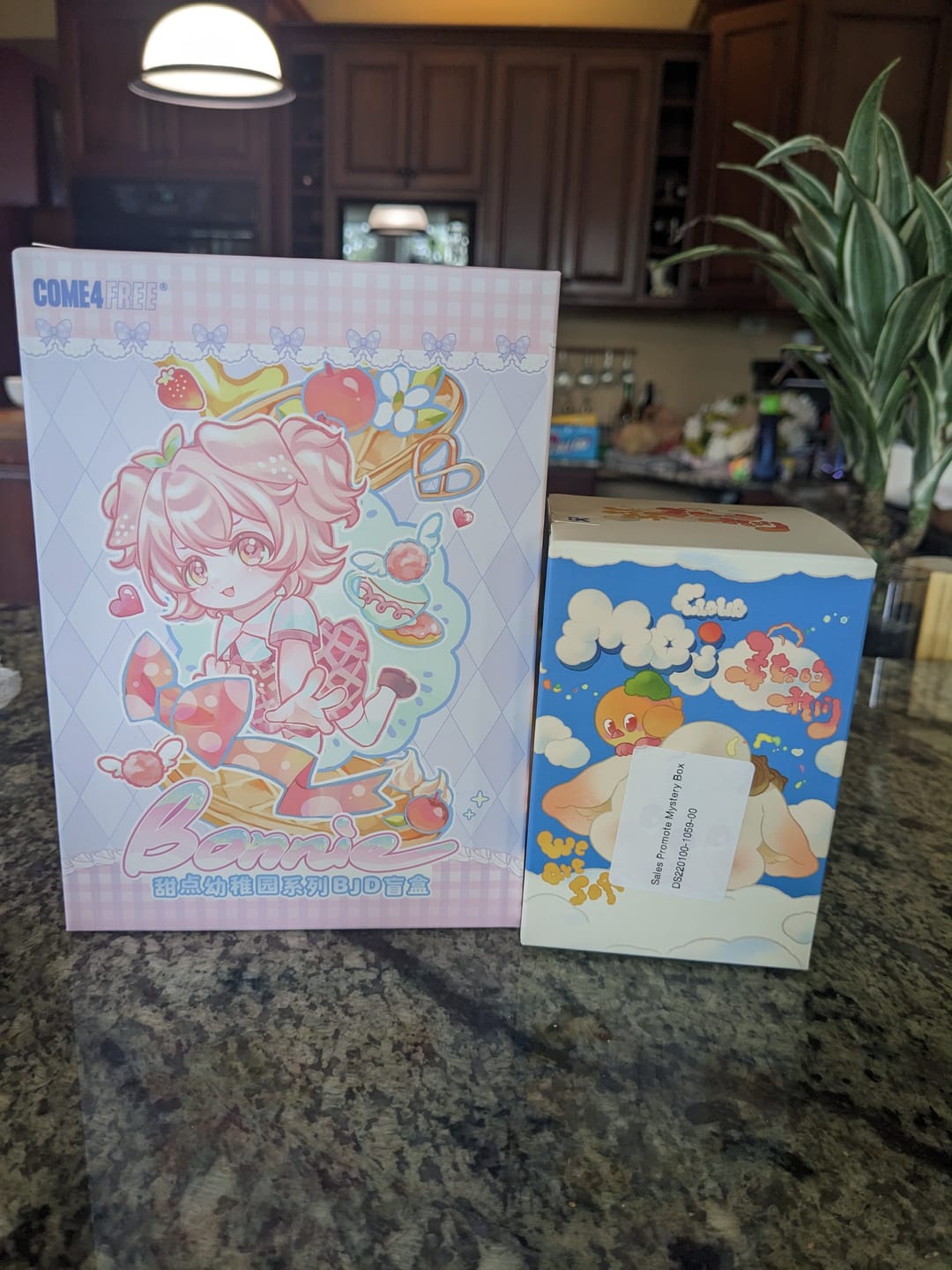 Customer photo review of Sales Promote Mystery Box Only $8.99【Slightly Package Damaged】