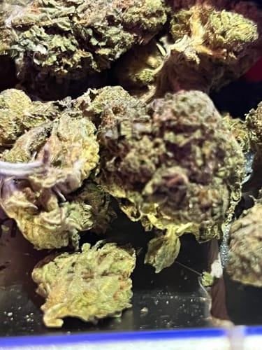 Customer photo review of Khalifa Kush THCA Flower