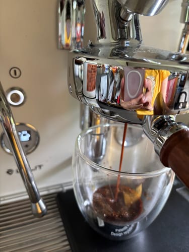 Reviewer pulling a rich shot of Organic DECAF Colombia Maragogipe espresso into a clear glass.