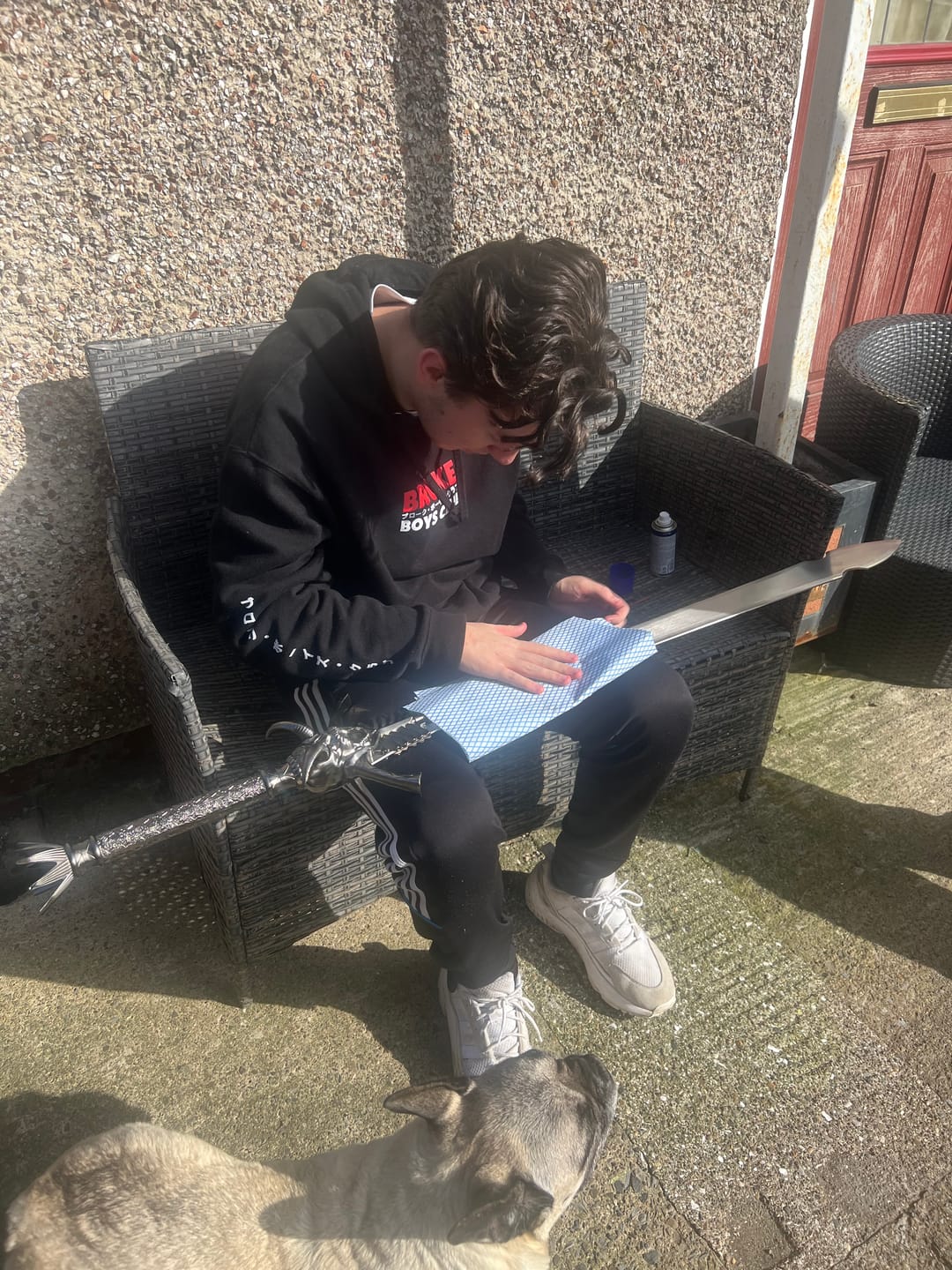 Customer photo review of Devil May Cry 5 - Dante's Rebellion (Silver)