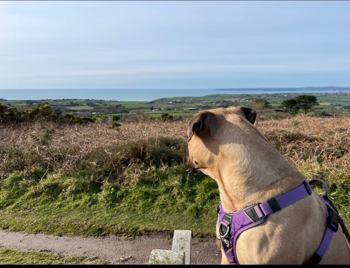 Customer photo review of Tidal Waterproof Longline