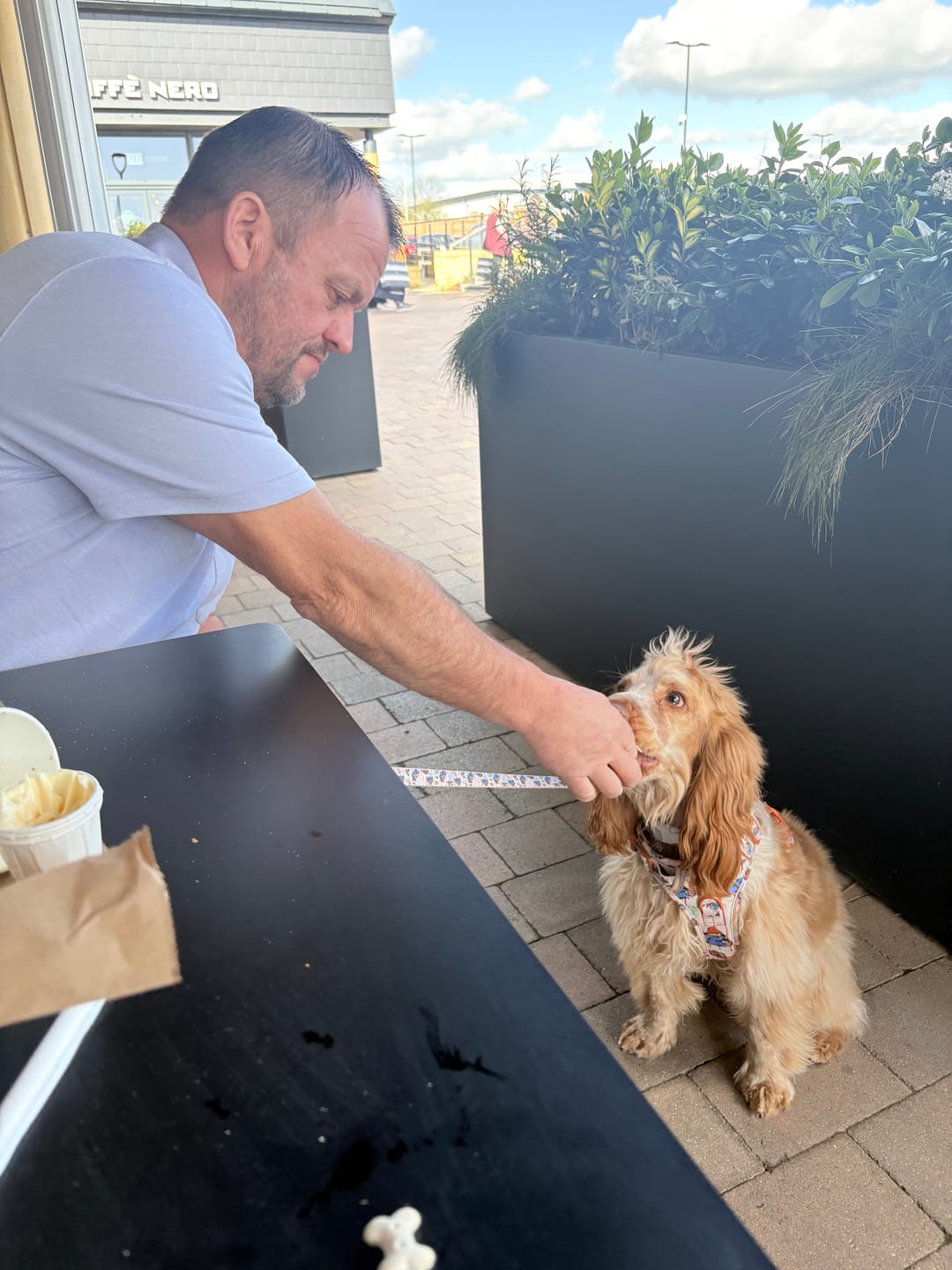 Customer photo review of Paddington™ Tough Trails™ Harness - Peckish Paddington