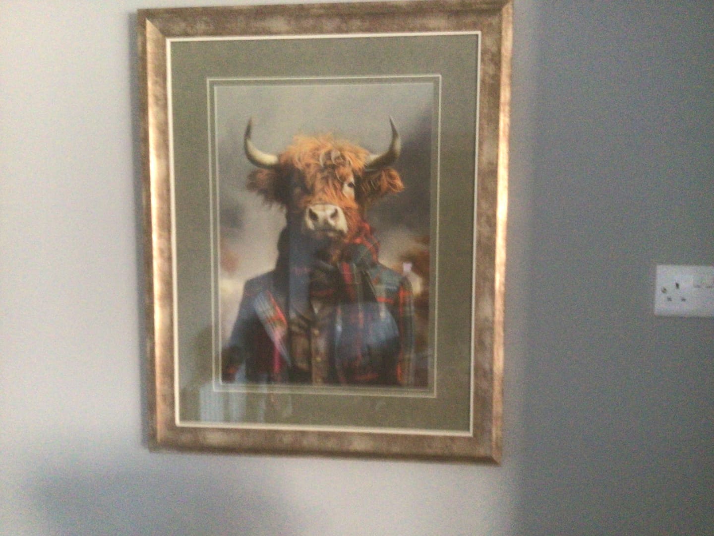Customer photo review of Dapper Highlander By Faye Reynolds-Lydon
