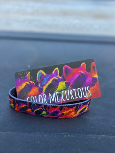 Customer's vibrant 'Color Me Curious' bracelet and matching card from the Trash Panda pack, showing a colorful raccoon design.
