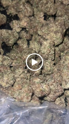 Customer video review of Blueberry Muffins - Bulk - Indica
