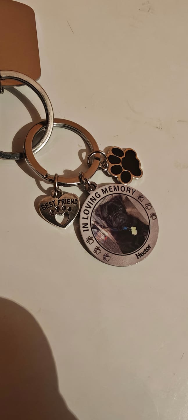 Customer photo review of Custom Personalized Photo Keychain Pet Charm Key Ornaments - Memorial Gift for Dog/Cat Lovers - You left paw prints on my heart