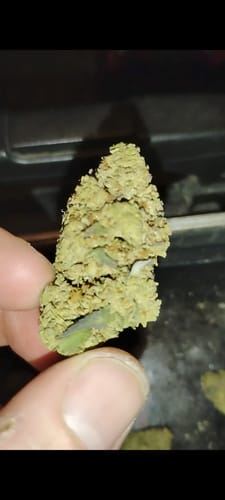 Customer photo review of Black Ice THCA Flower Ounce (28g)