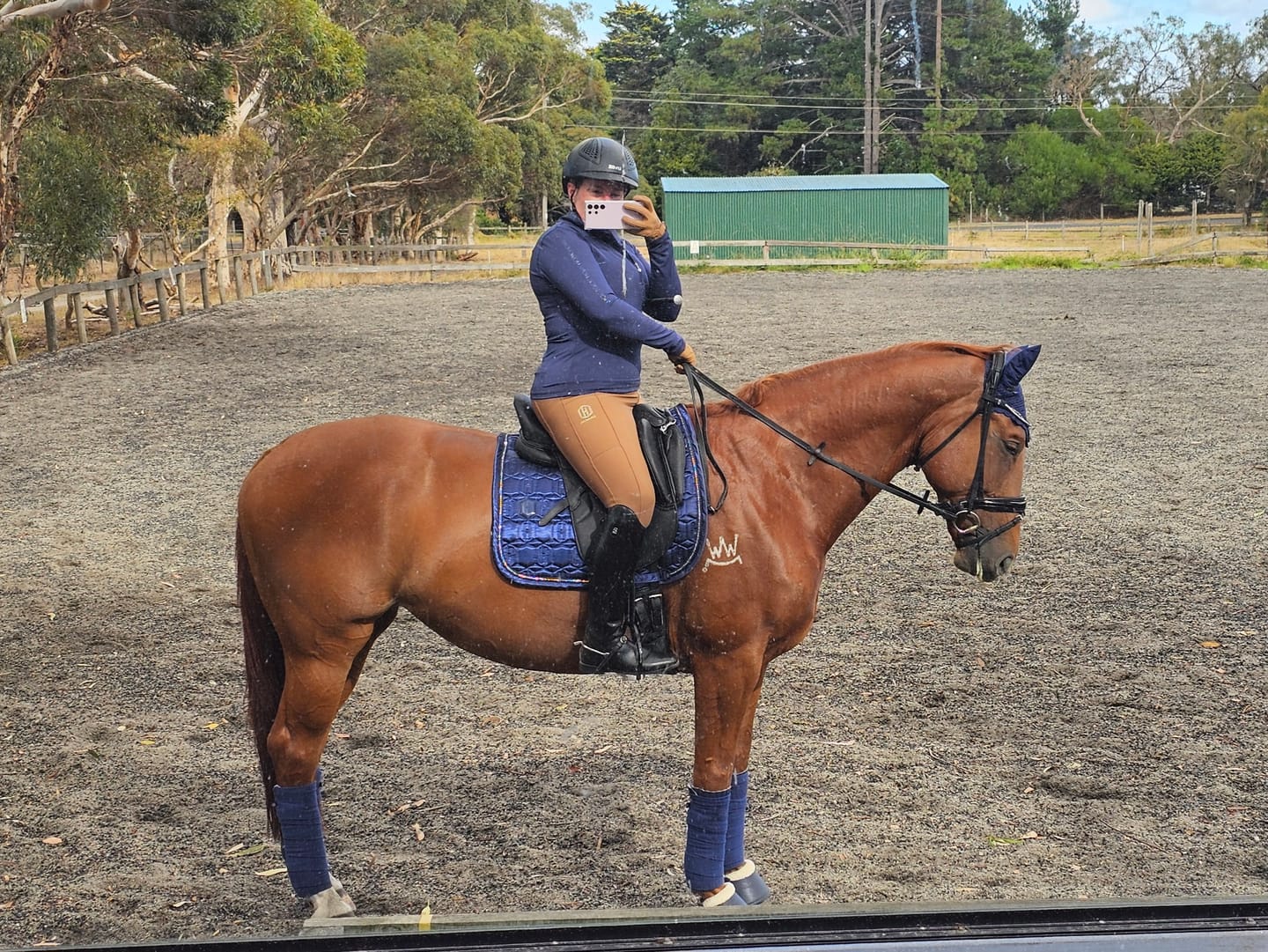 Customer photo review of Ulcer Armour+