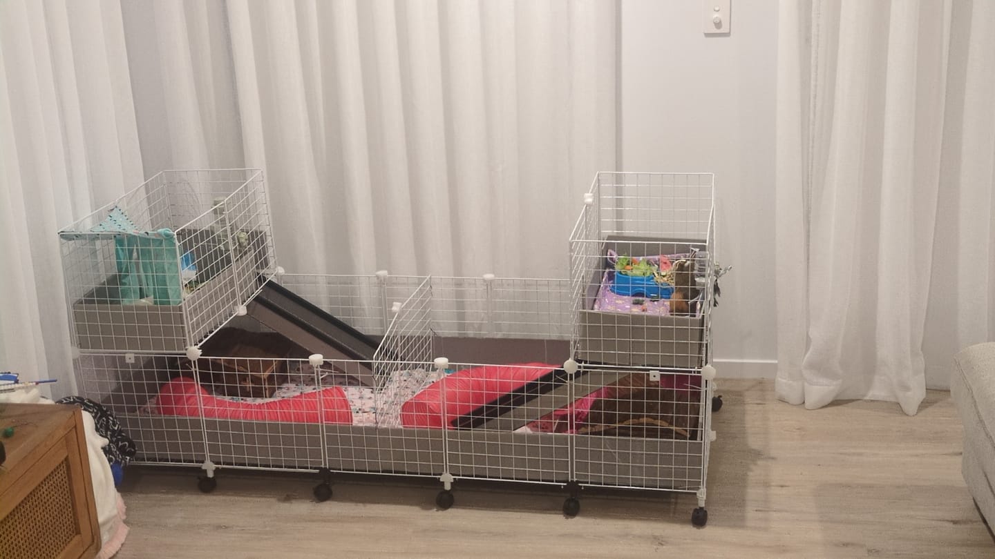 Customer photo review of 6 Pack of Grids