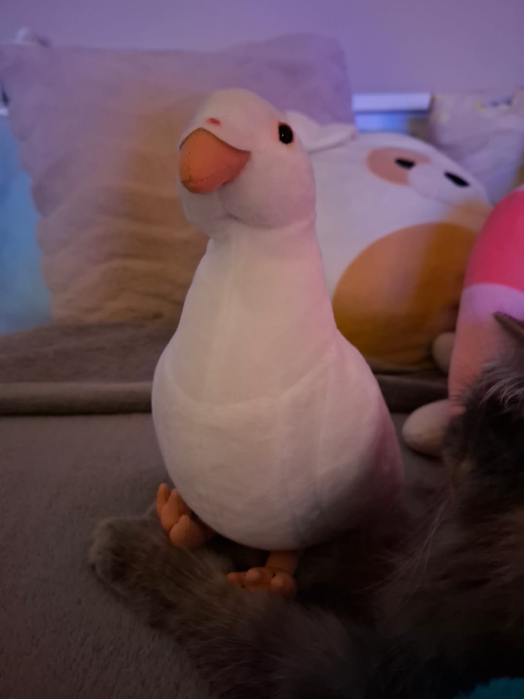 Customer photo review of Realistic White Dove Plush Toy – Soft and Lifelike Stuffed Bird