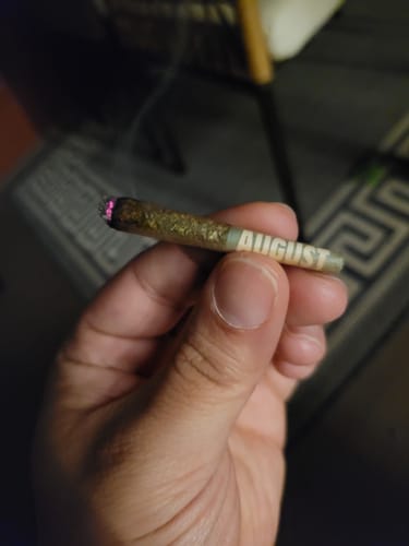 Customer's hand holding a lit Dogwalker preroll, showing its smooth, even burn.