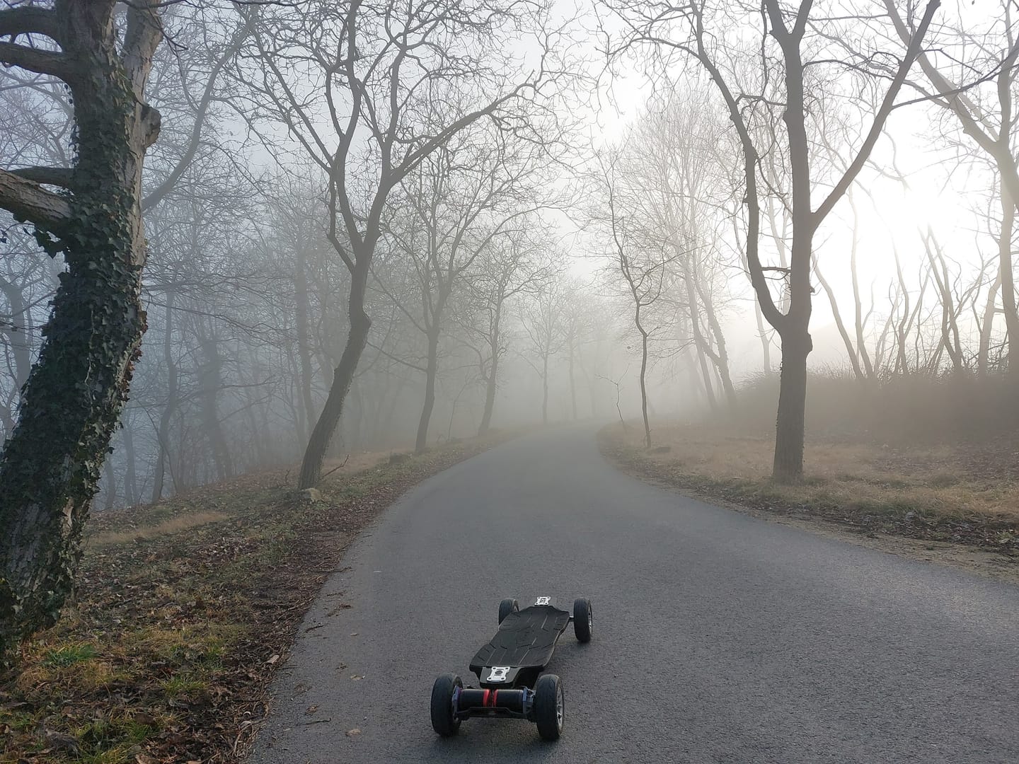Customer photo review of Acedeck® Nomad N3 Electric Skateboard