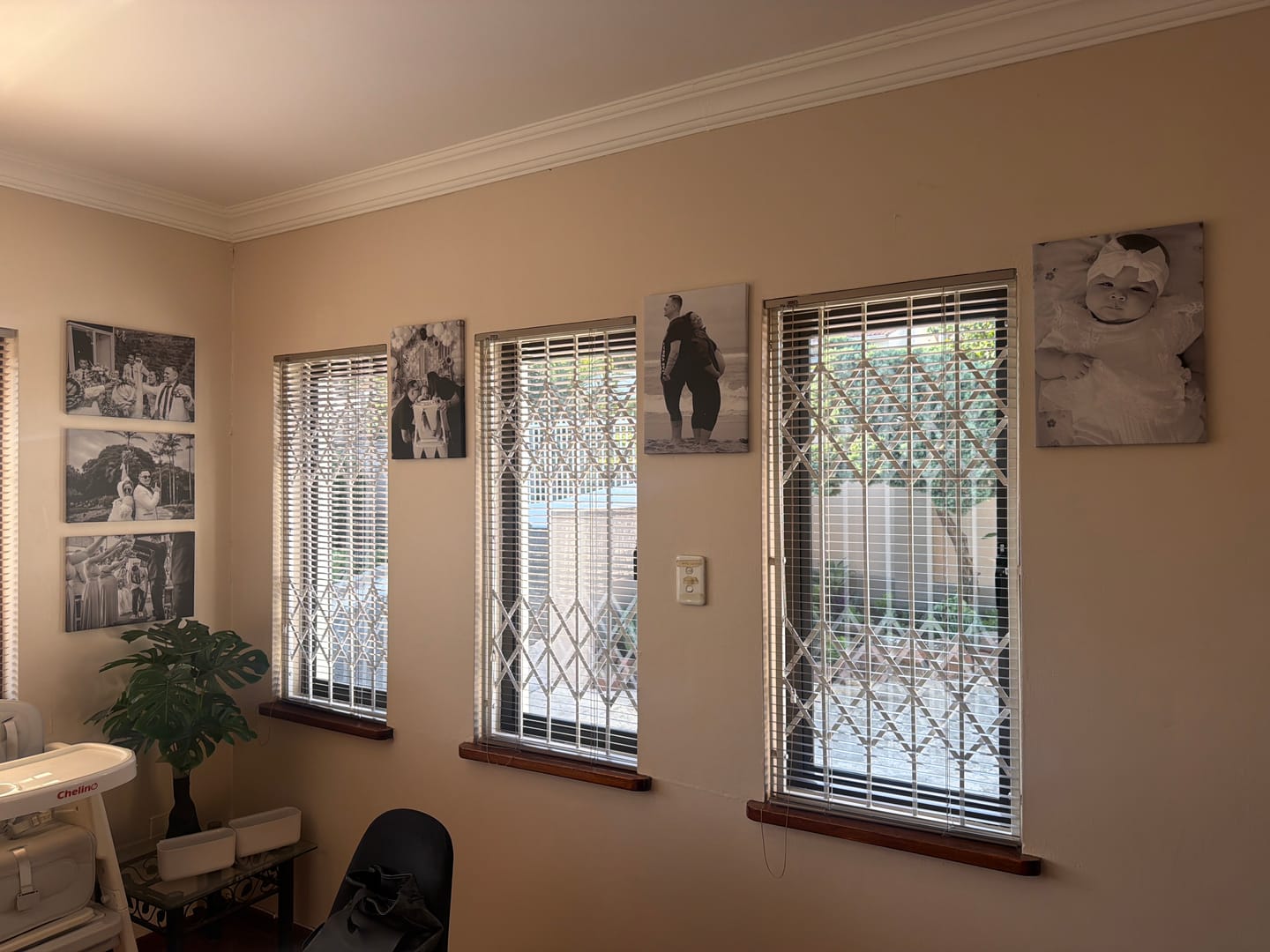 Customer photo review of 6 x A3 Canvas Combo