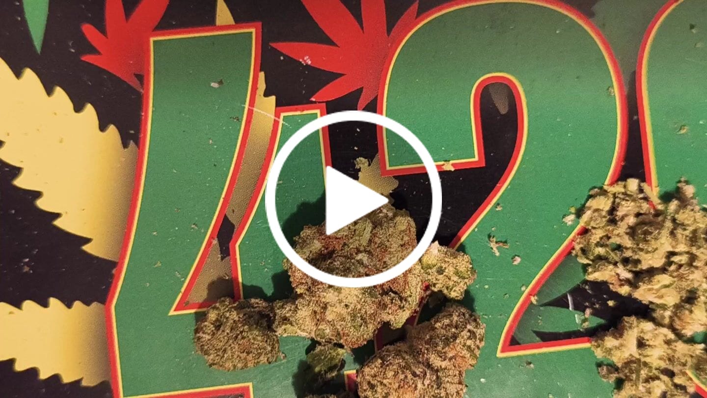 Customer video review of THCa Indoor Smalls