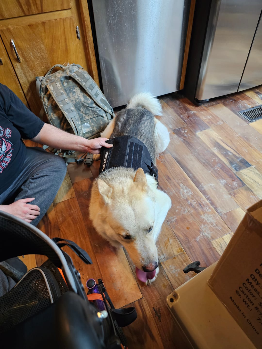 Customer photo review of Classic Heavy-Duty Tactical No-Pull Team K9™ Dog Harness With Front & Back D-Rings, Quick-Release Metal-Buckles, Hook & Loop Panels, & Top Handle