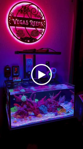 Customer video review of Aquatic Dreams Saltwater Custom Metal Wall Art