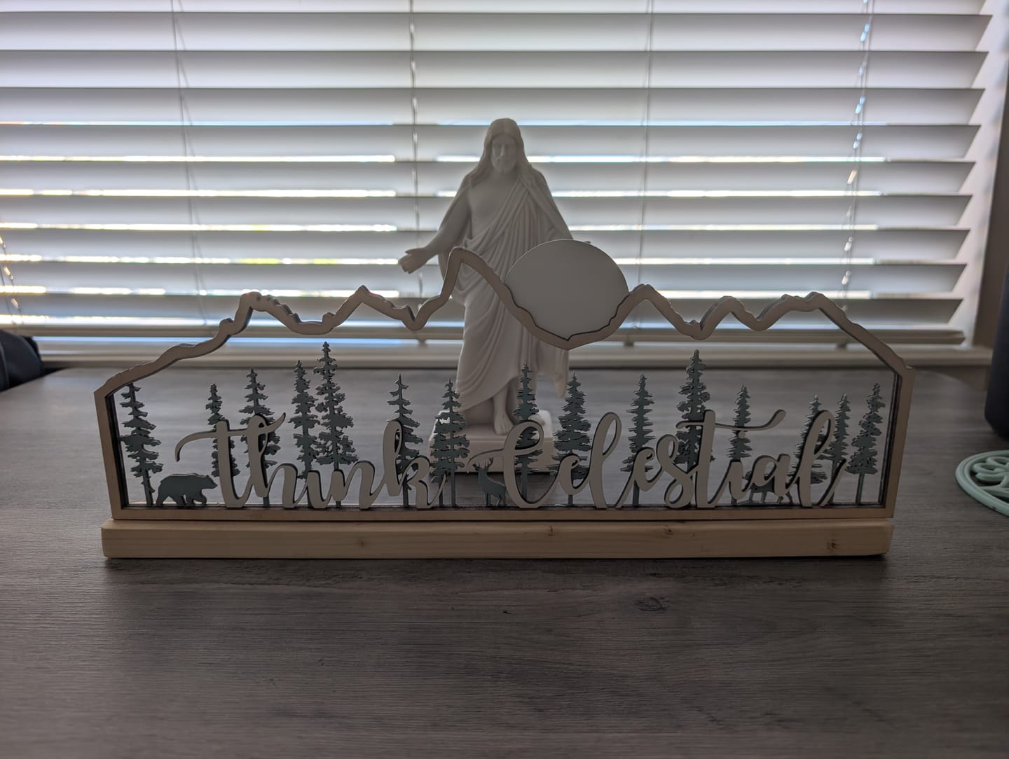 Customer photo review of Think Celestial Teton Mountains