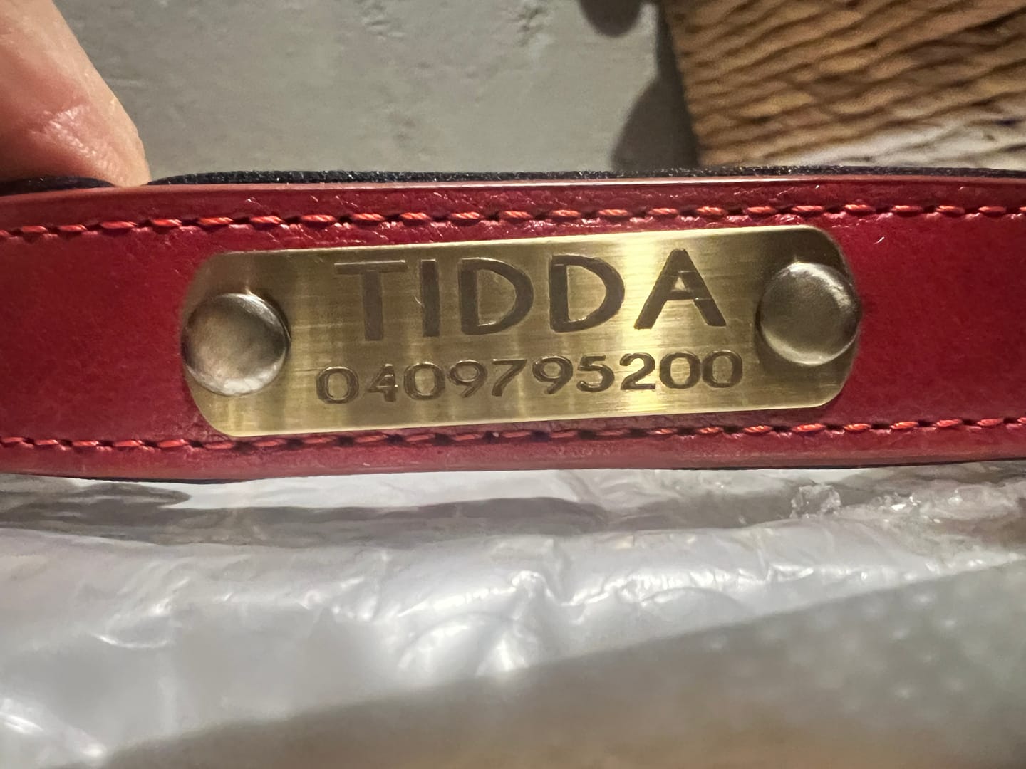 Customer photo review of Personalised Dog Collars